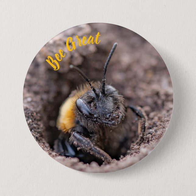 Eine Biene auf einem Abzeichen Button (Vorderseite)