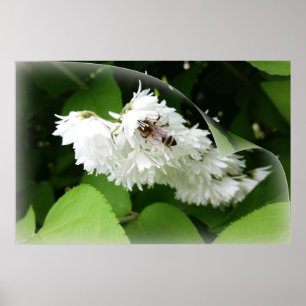 Eine Biene auf einer Seite Poster