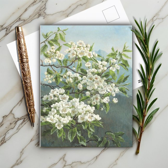 Eine blühende Birne, Christensen 1891 Postkarte (Von Creator hochgeladen)