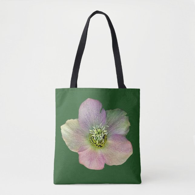 Eine Blume (Vorderseite)