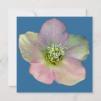 Eine Blume Feiertagskarte