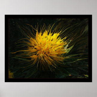 Eine Blume im Dunklen Poster