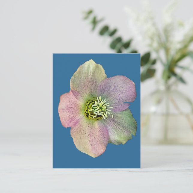 Eine Blume Postkarte (Stehend Vorderseite)