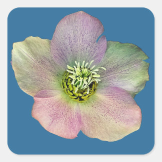 Eine Blume Quadratischer Aufkleber