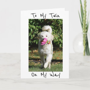 EINE BLUME UND MEINER GEDANKENSTAG FÜR MEINE ***TW KARTE