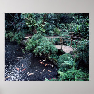 Eine Brücke über einem Goldfischteich vorbei Poster