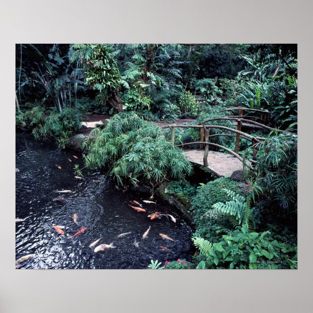 Eine Brücke über einen goldenen Teich, umgeben von Poster (Vorne)