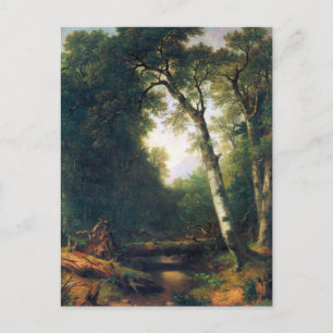 Eine Bucht im Wald von Asher Brown Durand Postkarte