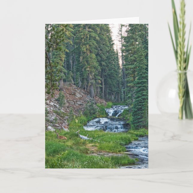 Eine Buck-Erholung an einem Kaskadenfluss Karte (Vorderseite)