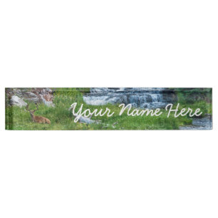 Eine Buck-Erholung an einem Kaskadenfluss Namensplakette