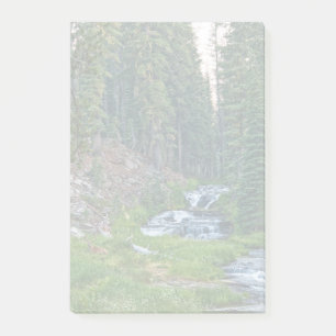 Eine Buck-Erholung an einem Kaskadenfluss Post-it Klebezettel