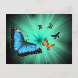 Eine Butterflys-Reise Postkarte
