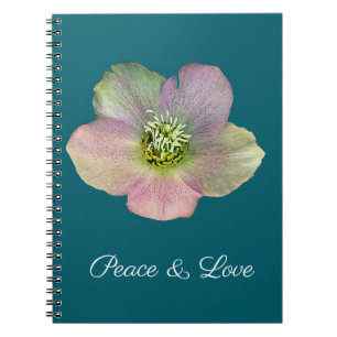 Eine Christrose, eine Lentenrose Notizblock