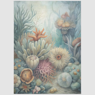 Eine Coastal Series Design 43 Seidenpapier