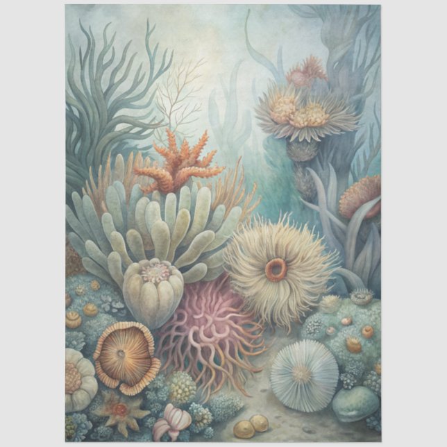 Eine Coastal Series Design 43 Seidenpapier (Vorderseite)