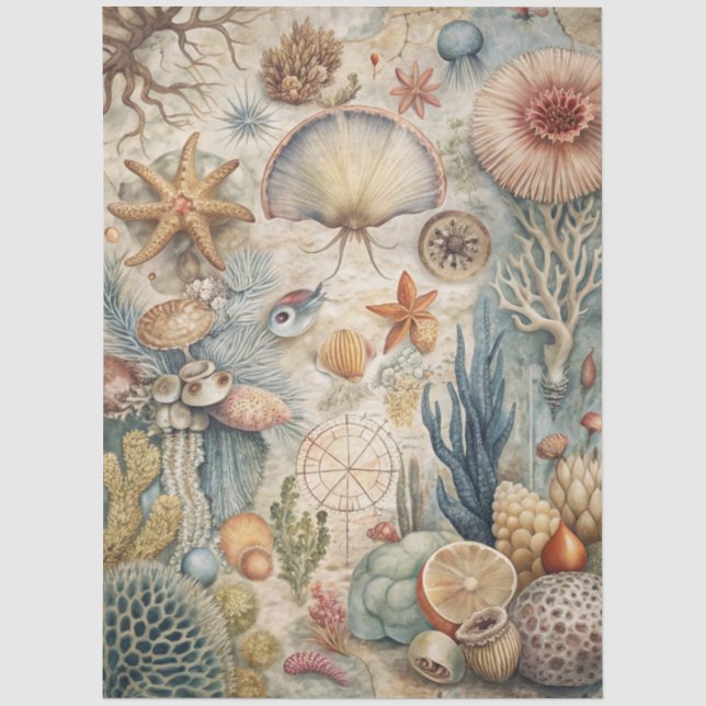 Eine Coastal Series Design 46 Seidenpapier (Vorderseite)