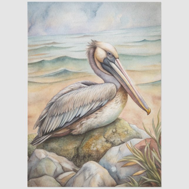 Eine Coastal Series Design 50 Seidenpapier (Vorderseite)