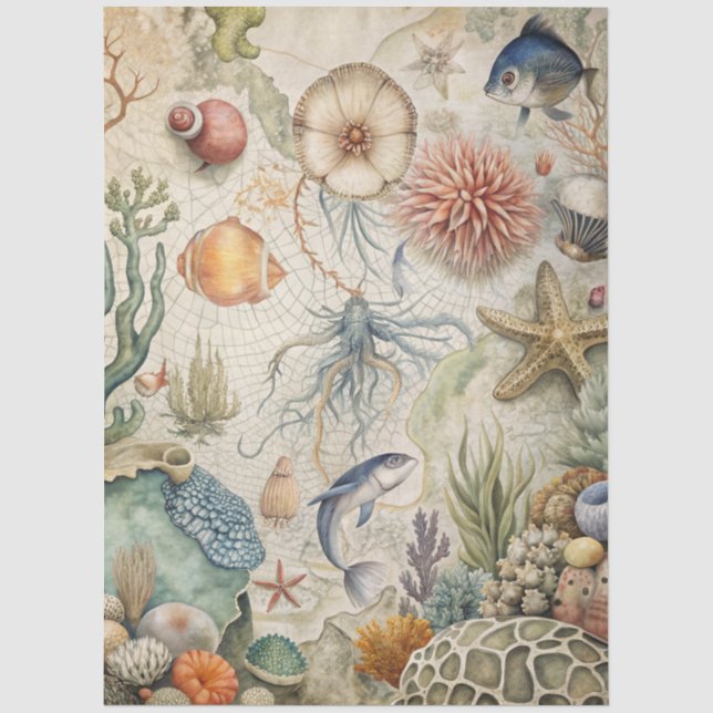 Eine Coastal Series Design 51 Seidenpapier (Vorderseite)
