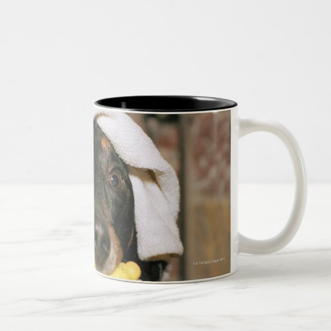Eine Dackel, die gebadet wird Zweifarbige Tasse (Rechts)