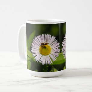 Eine daisy Flohblume und eine Biene Kaffeetasse