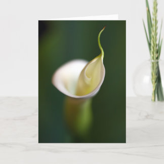 Eine Dame im Weiß Karte