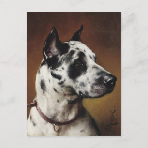 Eine Dogge-Postkarte Postkarte