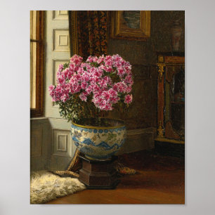 Eine doppelt rosa Azalea   Jessica Hayllar Poster