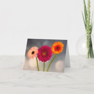 Eine Dreiergruppe Gerberas gefaltete Grußkarte Karte