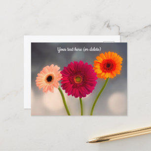 Eine Dreiergruppe Gerberas Postkarte