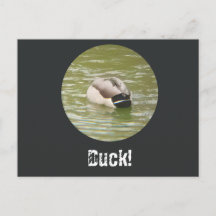Eine Ducking-Enten-Postkarte