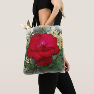 Eine einsame Rose