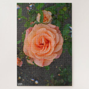 Eine einzelne orangefarbene Blume Puzzle