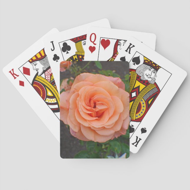 Eine einzelne orangefarbene Blume Spielkarten (Rückseite)