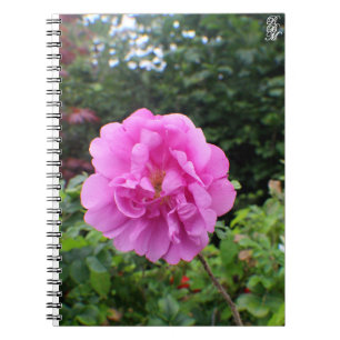 Eine einzelne rosa Blume Notizblock