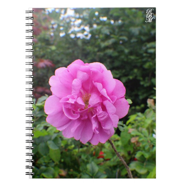 Eine einzelne rosa Blume Notizblock (Vorderseite)