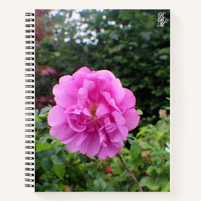Eine einzelne rosa Blume Notizbuch (Vorderseite)