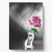Eine einzelne Rose