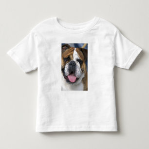 Eine Englische Bulldogge in Belgien. Kleinkind T-shirt