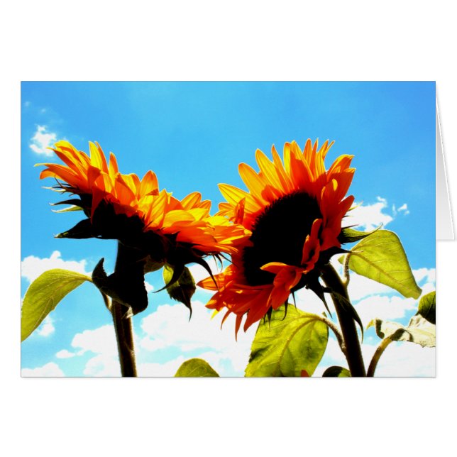 Eine Erinnerung von uns (Vorderseite (Horizontal))