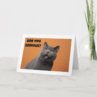 EINE ERNSTE KATZE SAGT "GLÜCKLICH 50. GEBURTSTAG"