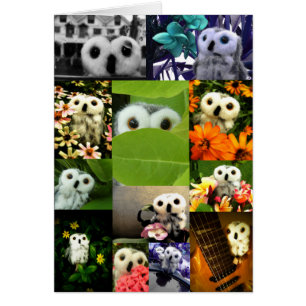 Eine Eule genannt Ophelia