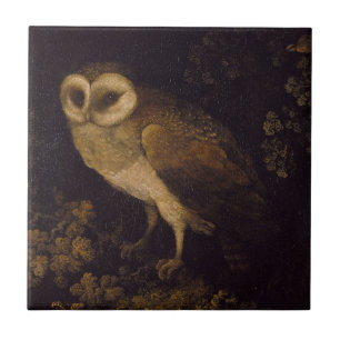 Eine Eule von Moses Haughton dem Älteren Fliese