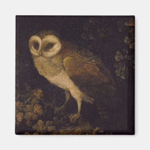 Eine Eule von Moses Haughton dem Älteren Magnet