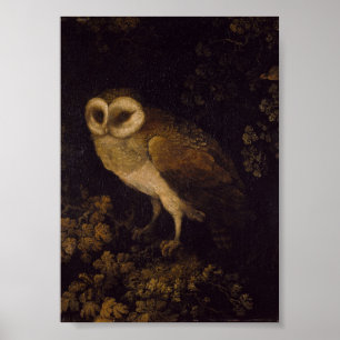 Eine Eule von Moses Haughton dem Älteren Poster