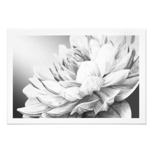 Eine Explosion des Frühlinges (mit Grenze) Fotodruck