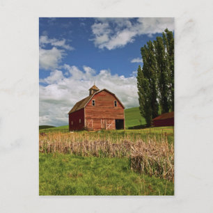 Eine Fahrt durch das Agrarland Palouse Postkarte
