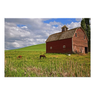 Eine Fahrt durch das Agrarland von Palouse 3 Fotodruck