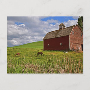 Eine Fahrt durch das Agrarland von Palouse 3 Postkarte