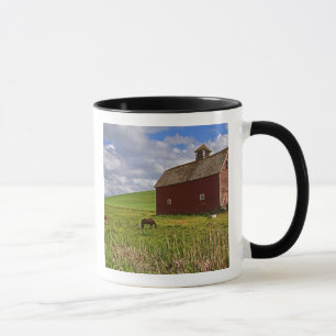 Eine Fahrt durch das Agrarland von Palouse 3 Tasse