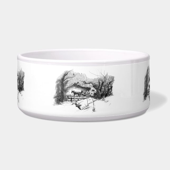 Eine Fahrt durch die Pet Bowl im Central Park Napf (Vorderseite)